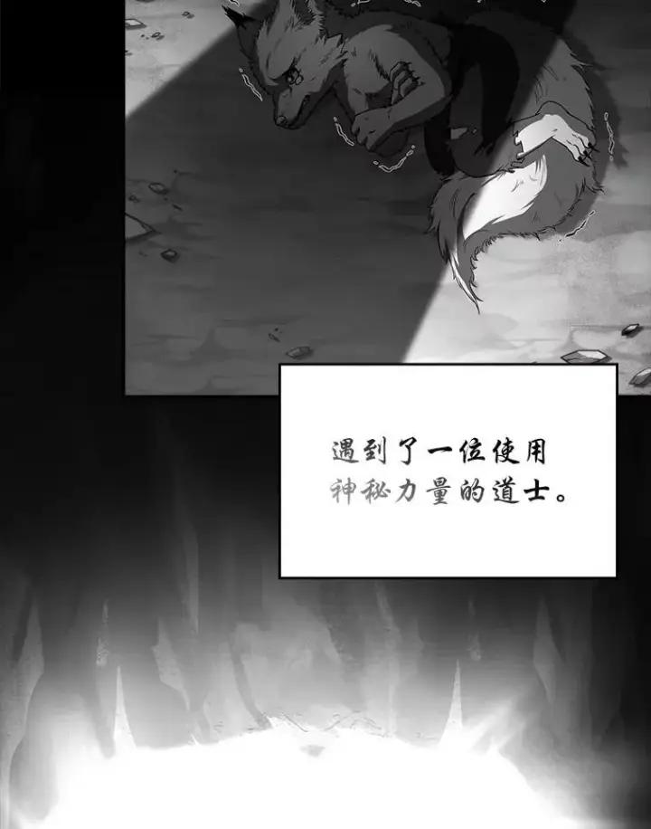 漫画《有才能的魔法师》91.决战血尾王第63张图