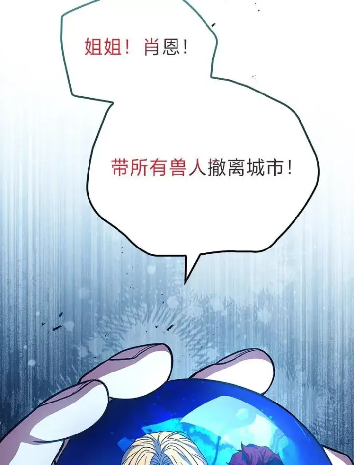 《有才能的魔法师》93.放手一搏图111