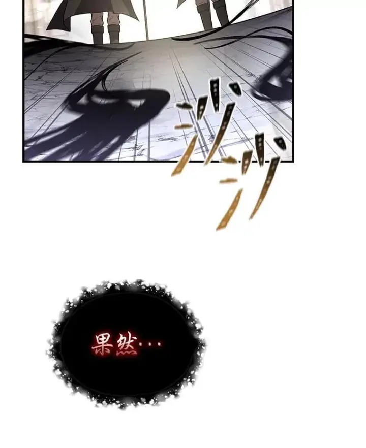 《有才能的魔法师》93.放手一搏图45