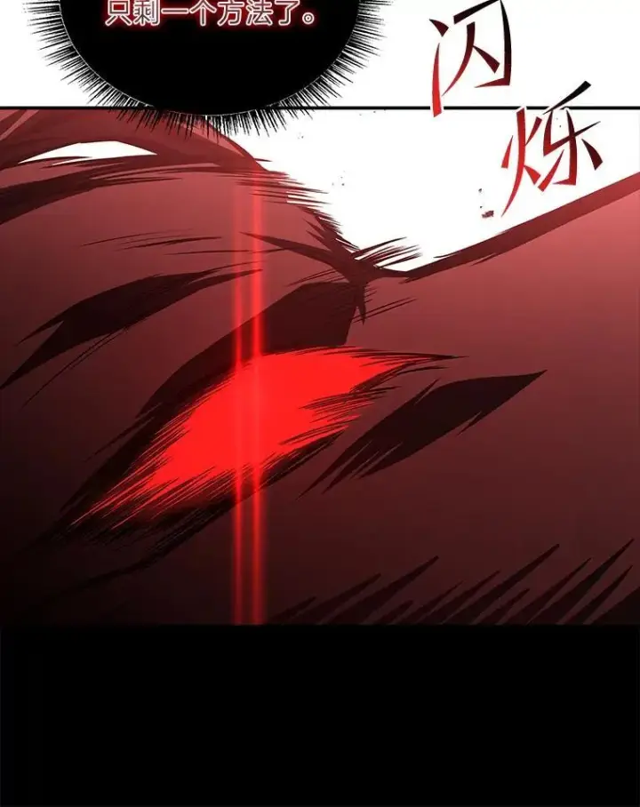 《有才能的魔法师》93.放手一搏图59
