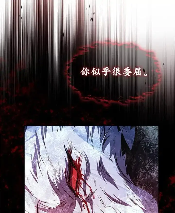 《有才能的魔法师》93.放手一搏图70