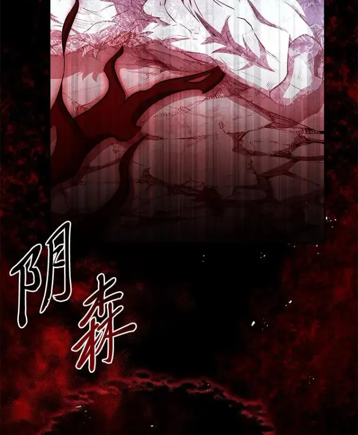 《有才能的魔法师》93.放手一搏图71