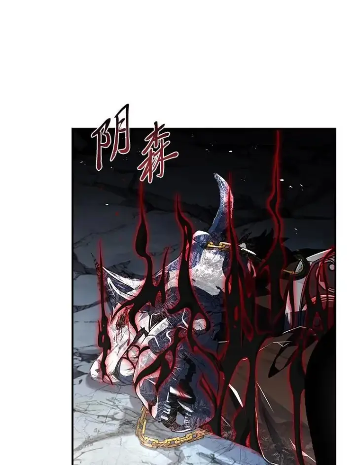 《有才能的魔法师》93.放手一搏图75