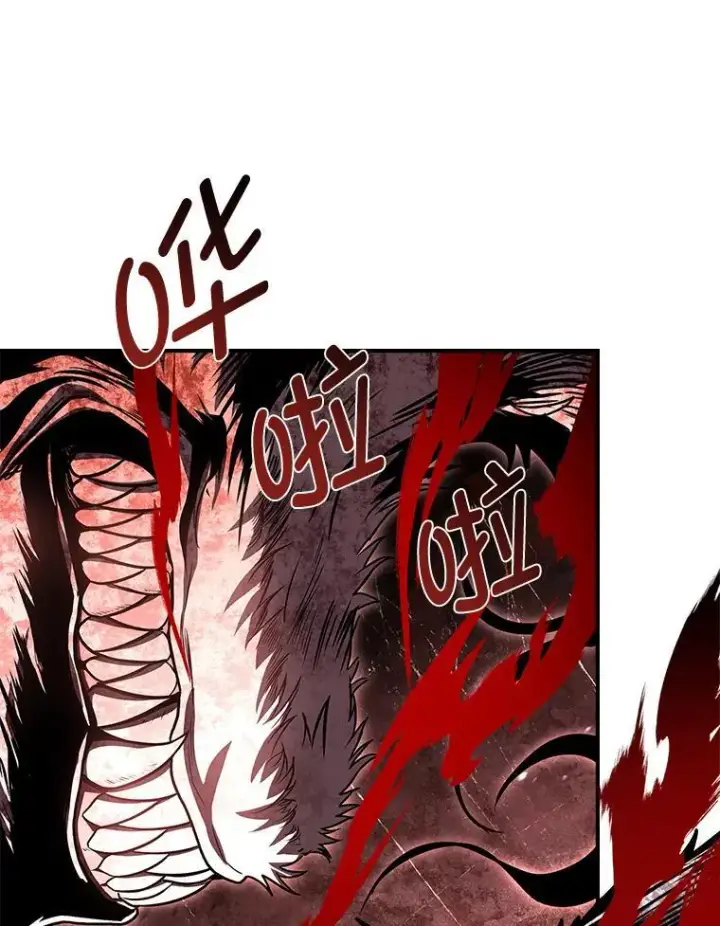 《有才能的魔法师》93.放手一搏图97