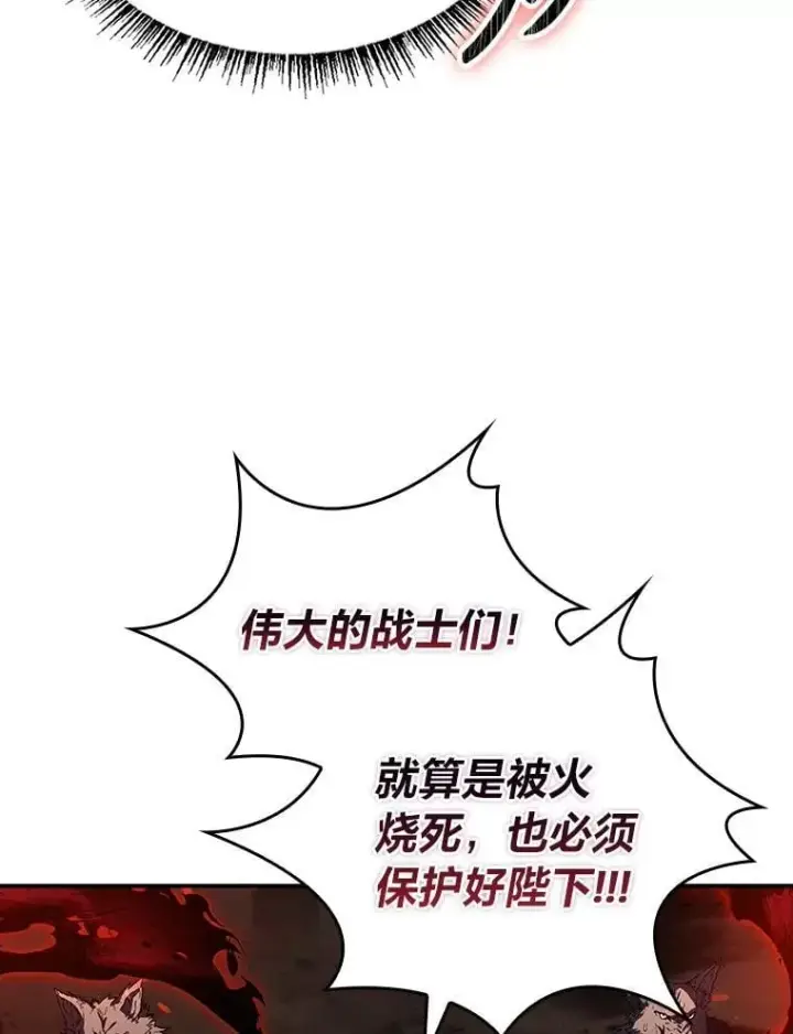《有才能的魔法师》95.绝处逢生图136