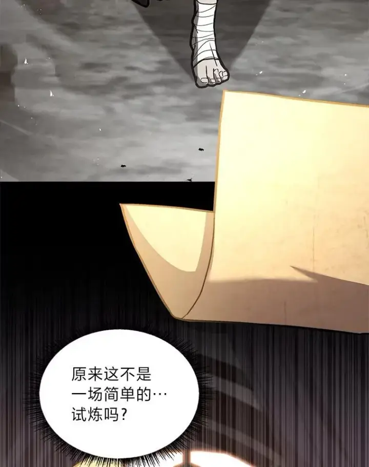 《有才能的魔法师》96.律虎王的日记图154