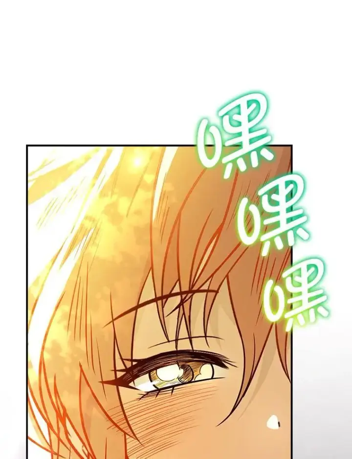 《有才能的魔法师》96.律虎王的日记图79