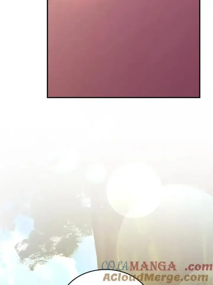《有才能的魔法师》96.律虎王的日记图97