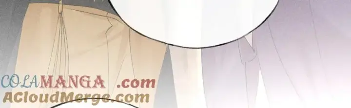 《诱敌深入》52 若非有几分像他图37