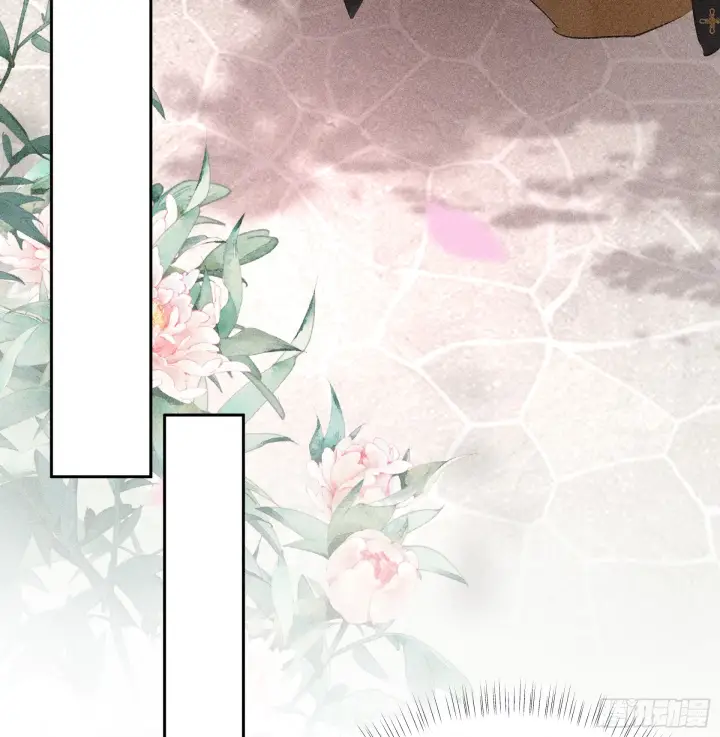漫画《诱敌深入》11 肉包公子将崛起？第38张图