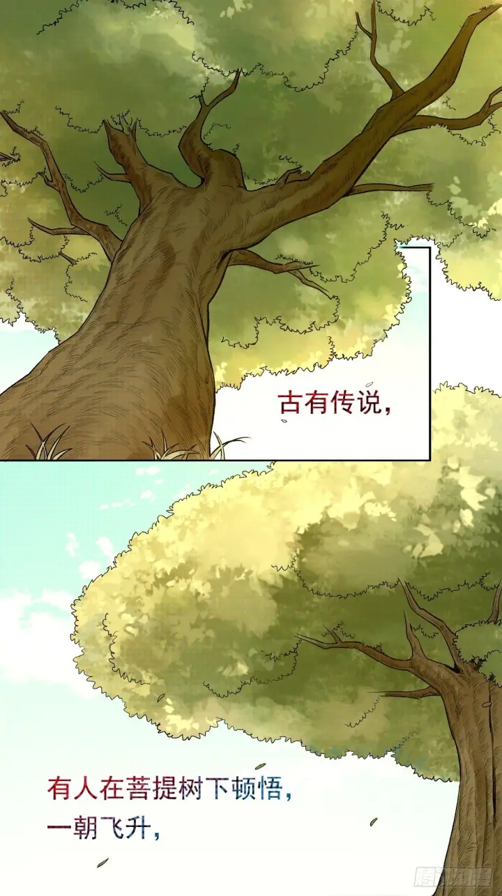 《原来我是修仙大佬》第三十话图10