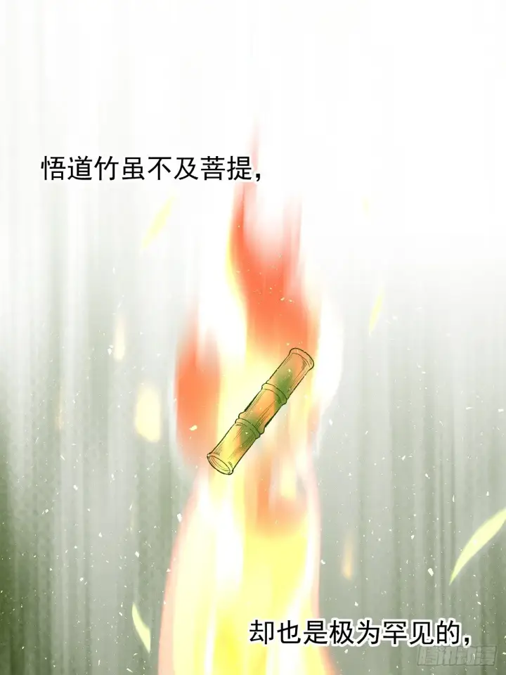 《原来我是修仙大佬》第三十话图12