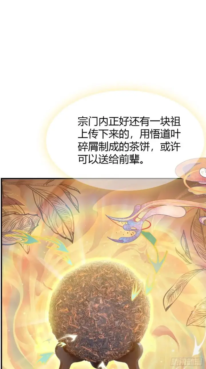 《原来我早就无敌了》第26话 整片悟道叶泡的茶？图23