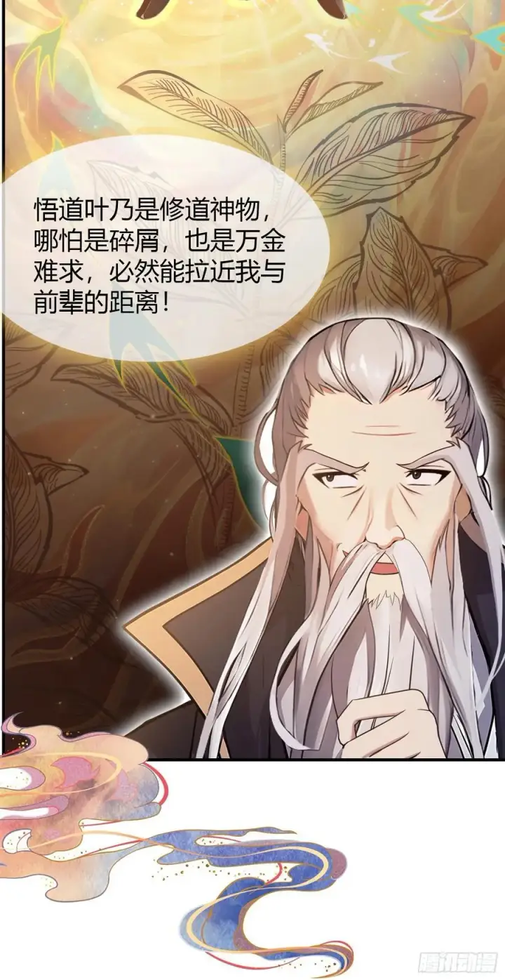 《原来我早就无敌了》第26话 整片悟道叶泡的茶？图24