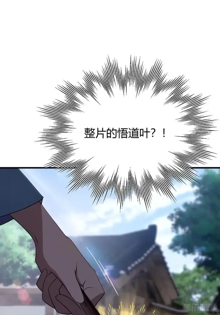 《原来我早就无敌了》第26话 整片悟道叶泡的茶？图27