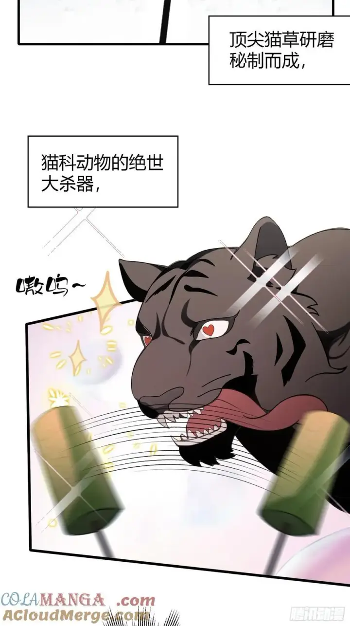 漫画《原来我早就无敌了》第102话 老虎也是猫？第23张图