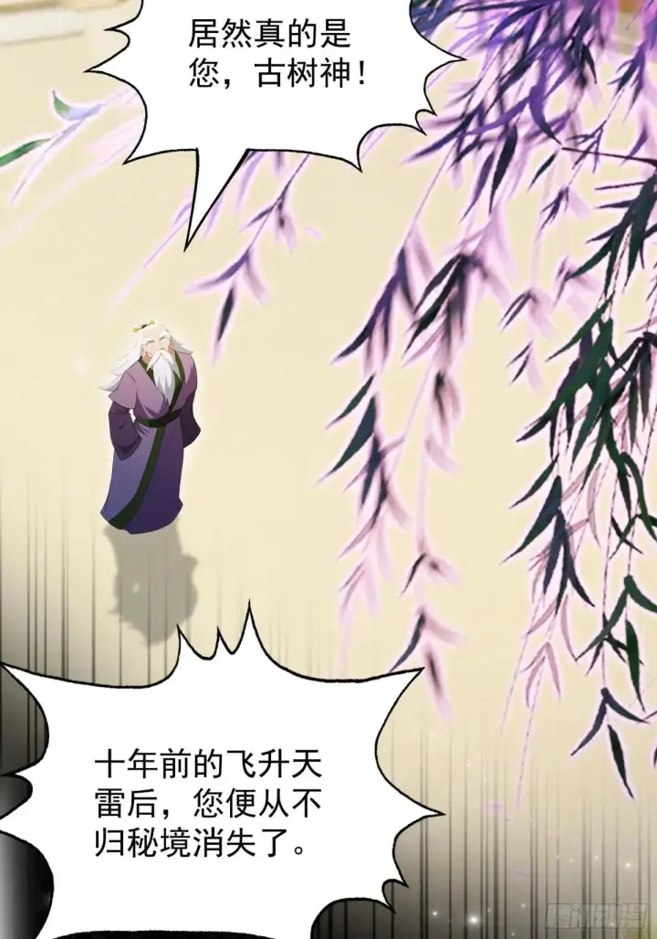 《原来我早就无敌了》第250话 自有古树神为我背书图43