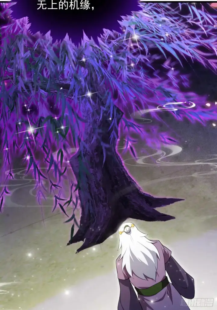 《原来我早就无敌了》第250话 自有古树神为我背书图54