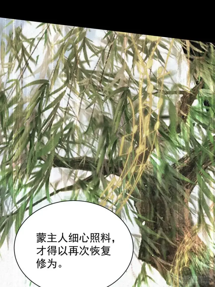 《原来我早就无敌了》第264话 主人，似乎要离去了图32