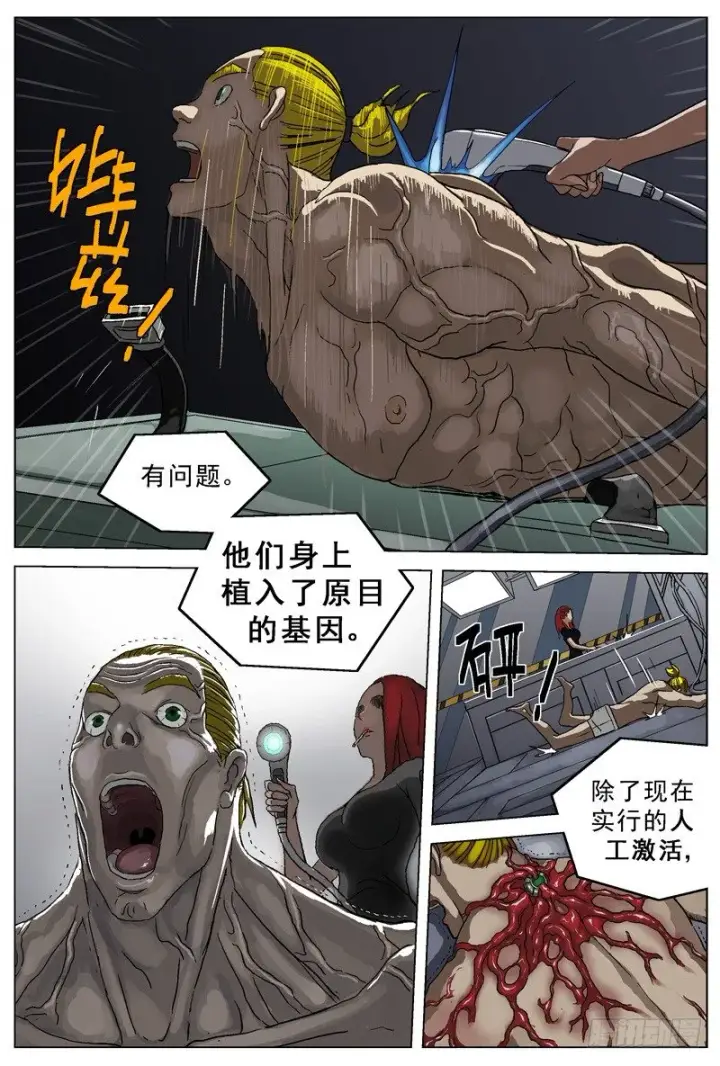 《原目》030变异图3