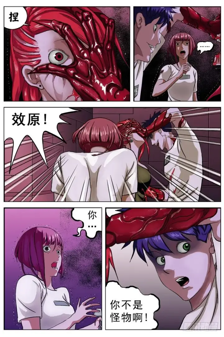 《原目》034复眼图5