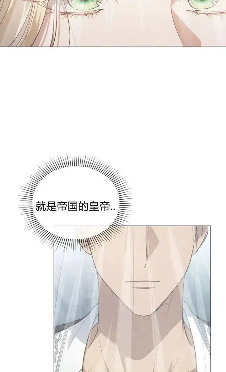 漫画《与善良的仇人政治联姻》第1话第45张图