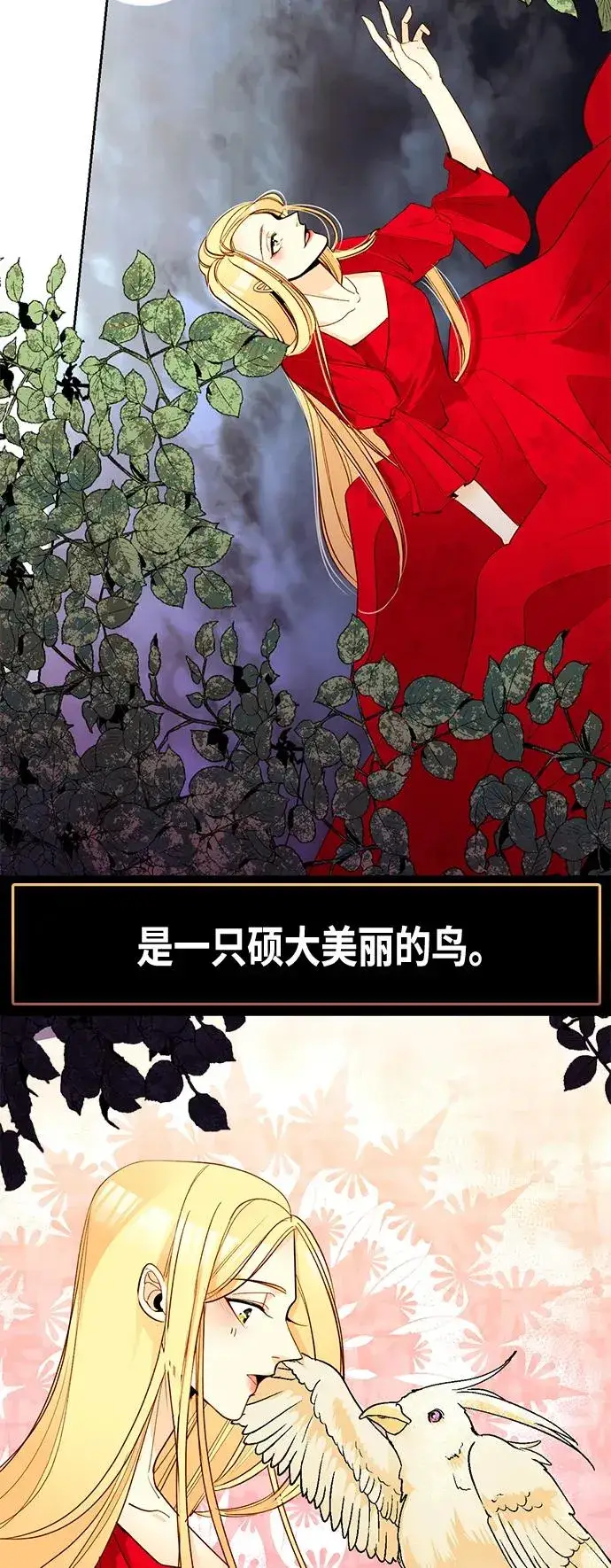 漫画《再婚皇后》【免费】 特别篇（再婚皇后剧情回顾：从离婚到再婚）第11张图