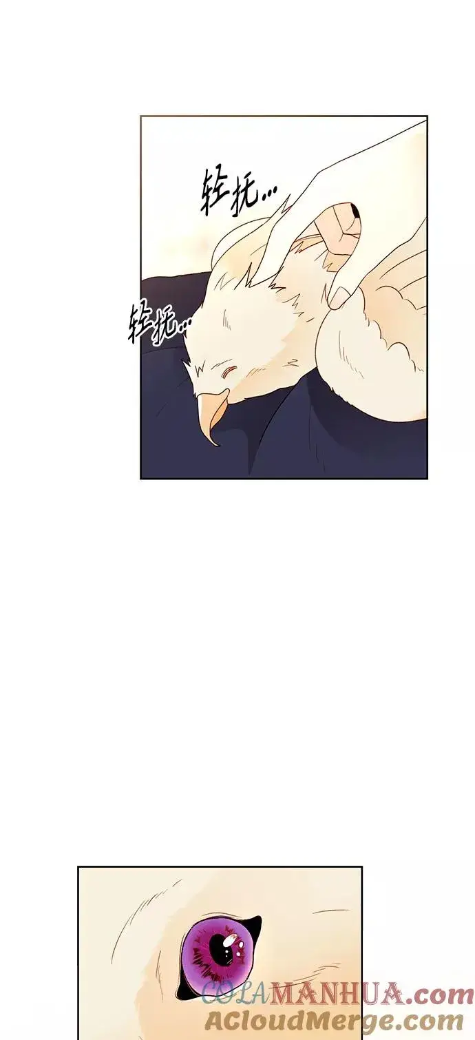 漫画《再婚皇后》第78话第4张图