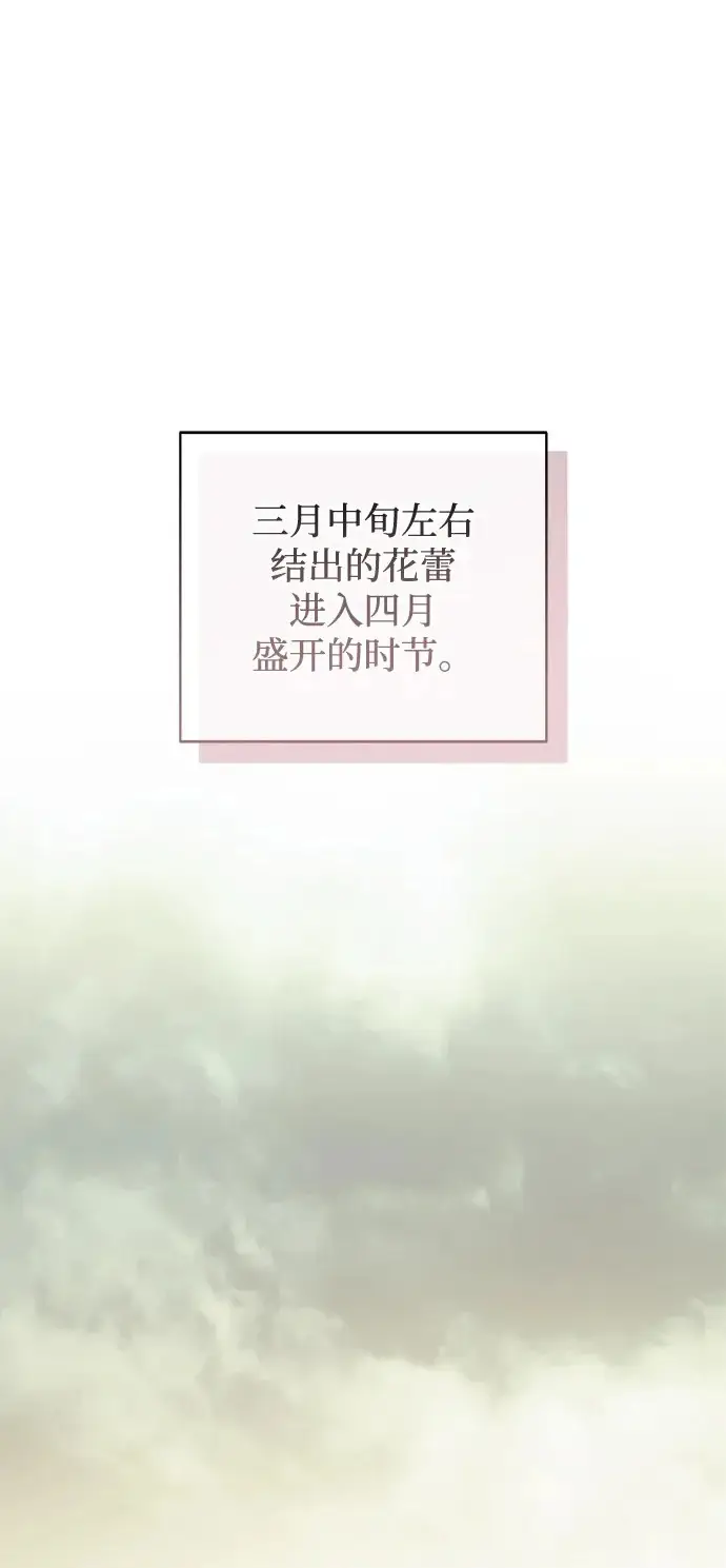 《憎恨我的丈夫失忆了》外传 1话图83