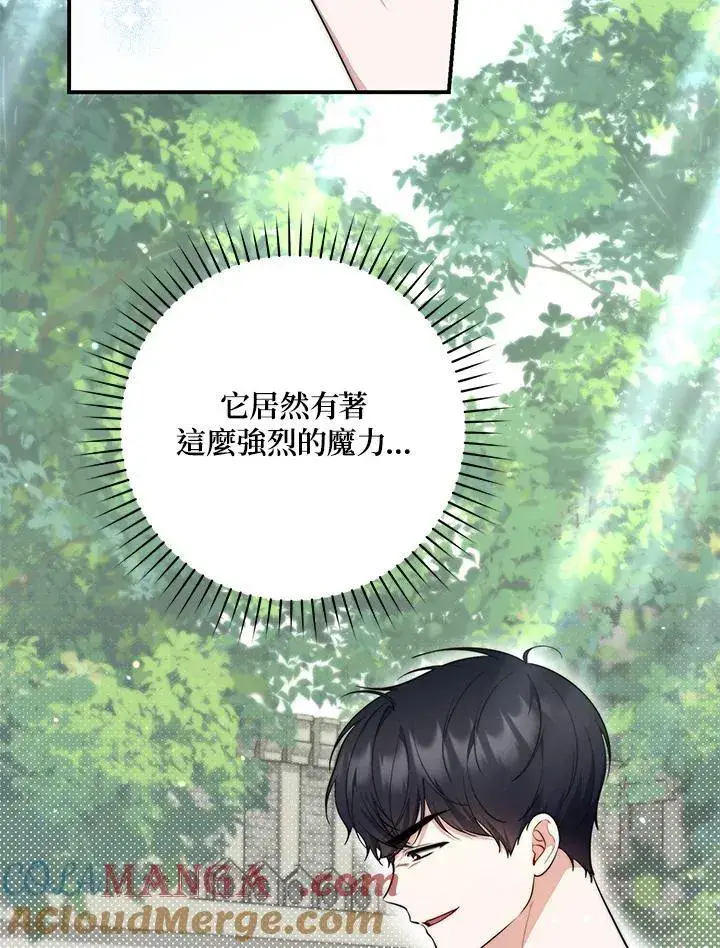 漫画《占卜的公女》第29话第29张图