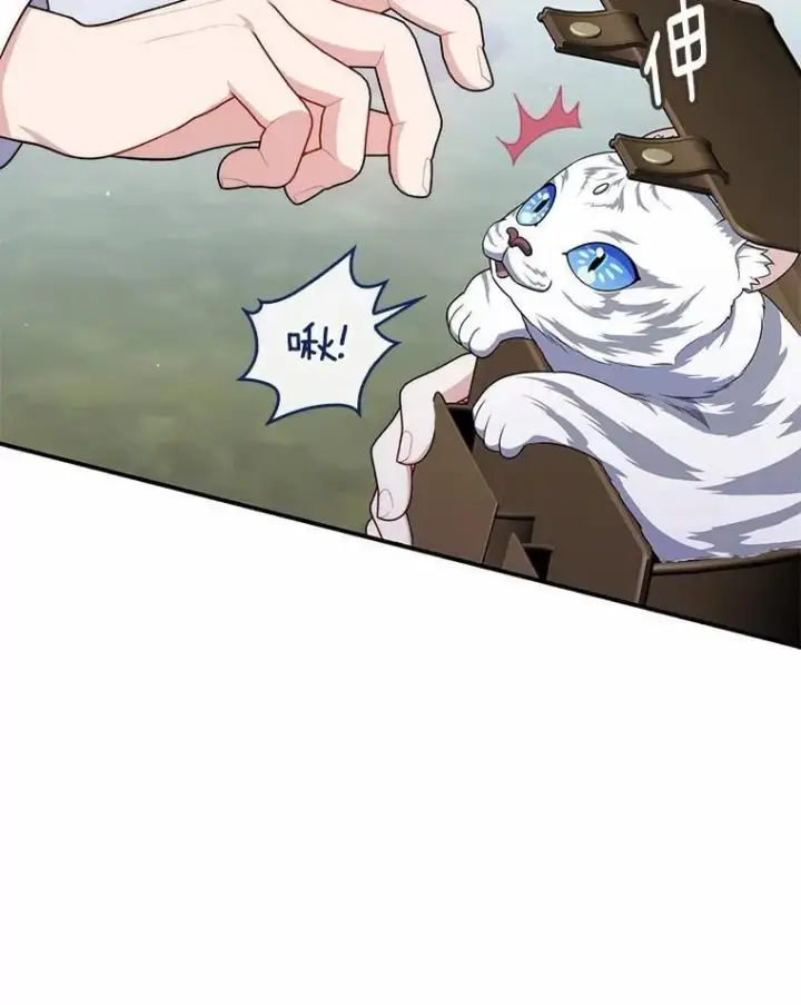 漫画《占卜的公女》52.获胜者不是您第58张图