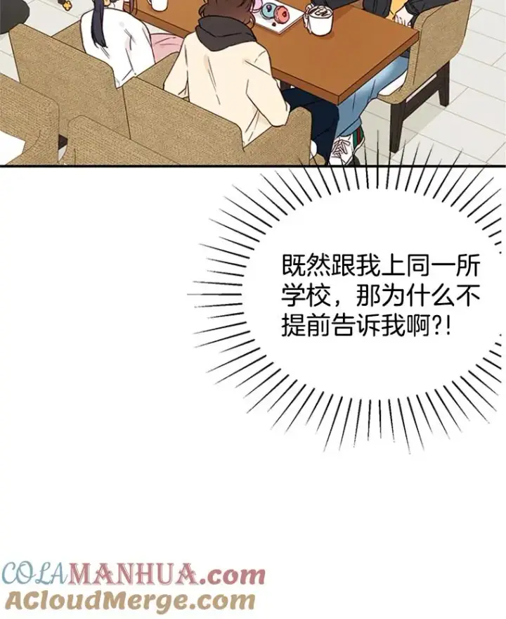 《丈夫候选人》11.聚餐图31