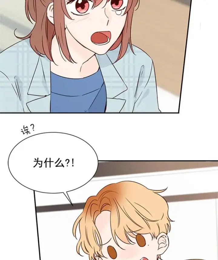 《丈夫候选人》11.聚餐图54