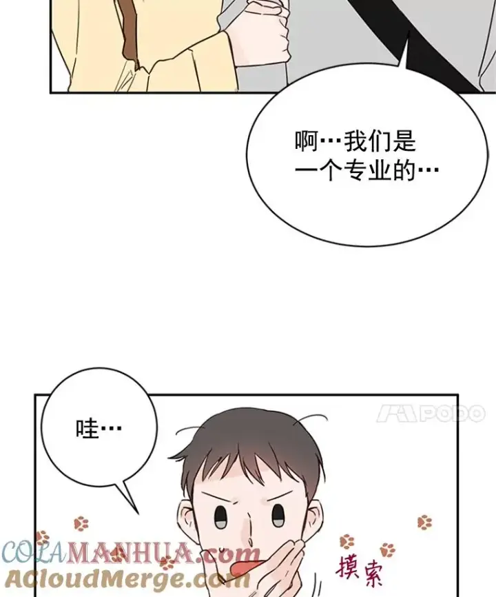 《丈夫候选人》19.约会被我搞砸了图88