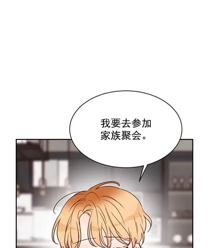 《丈夫候选人》20.回家图21