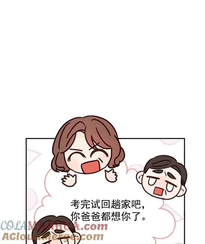 《丈夫候选人》20.回家图25