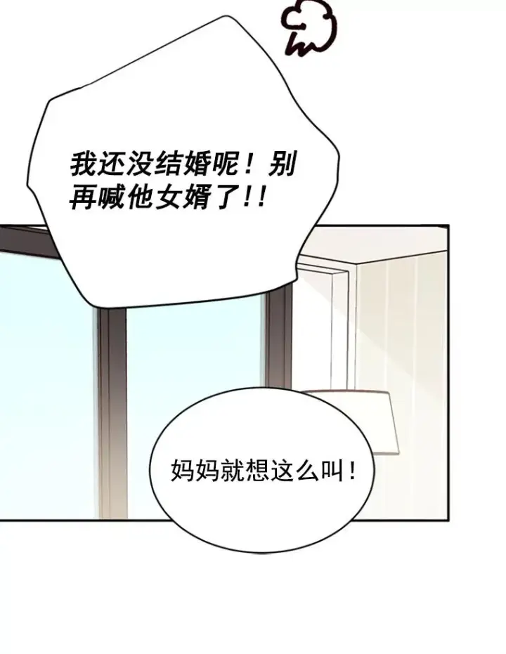 《丈夫候选人》20.回家图48