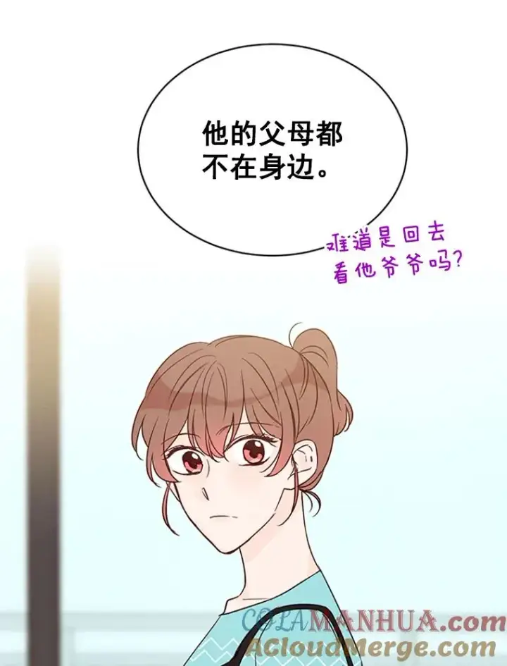 《丈夫候选人》20.回家图52