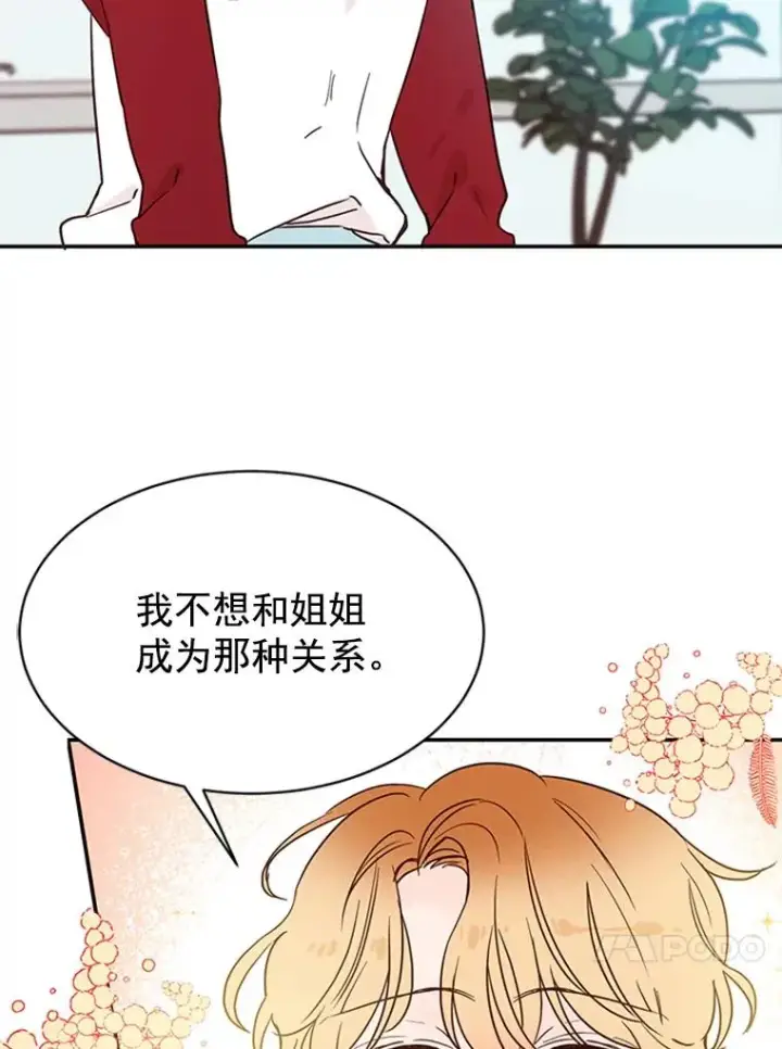 《丈夫候选人》22.修改条约图35