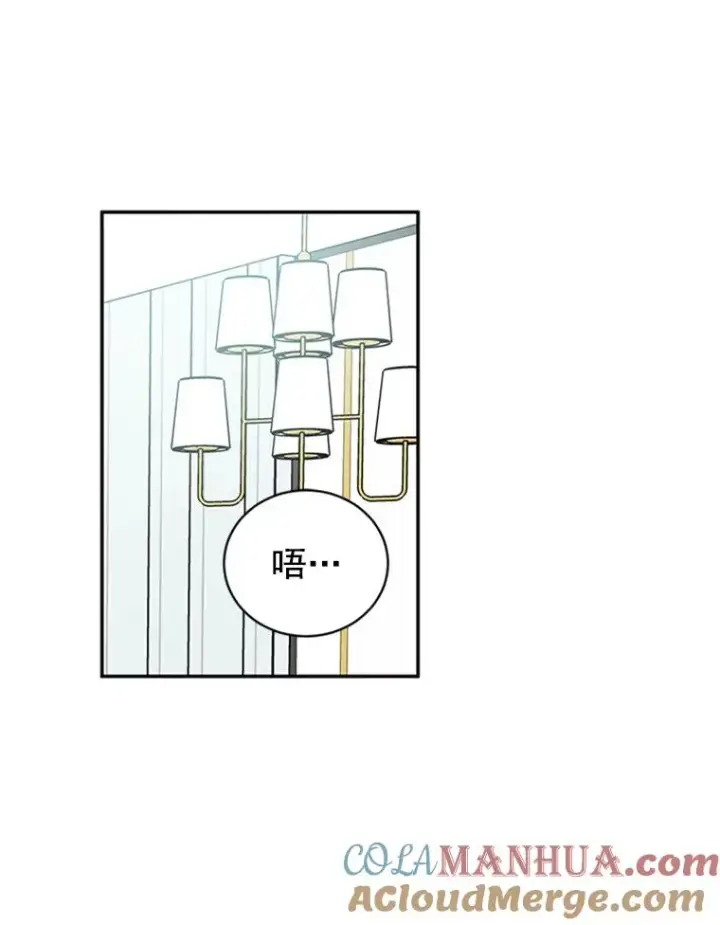 《丈夫候选人》22.修改条约图46