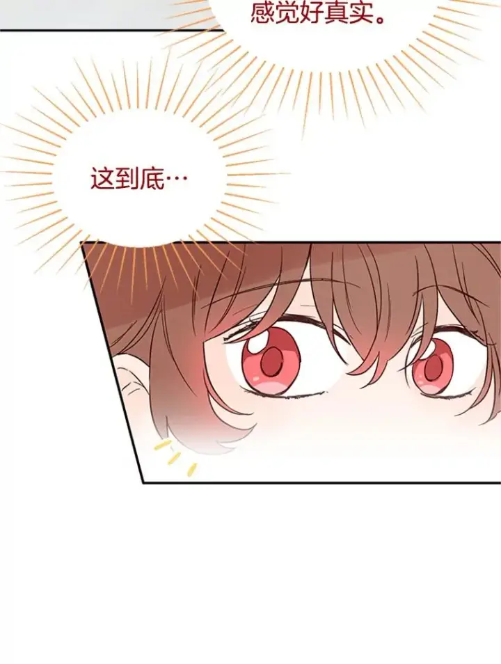 《丈夫候选人》22.修改条约图69