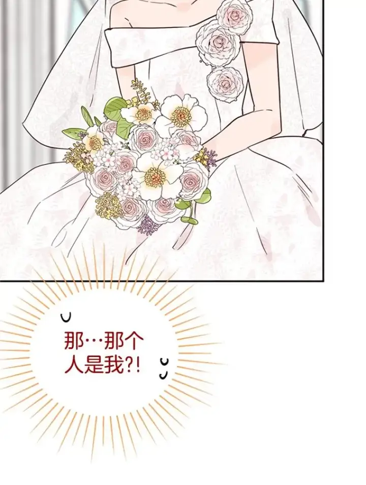 《丈夫候选人》22.修改条约图72