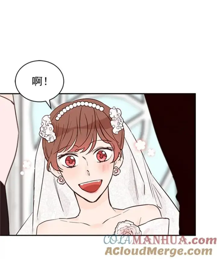 《丈夫候选人》22.修改条约图79