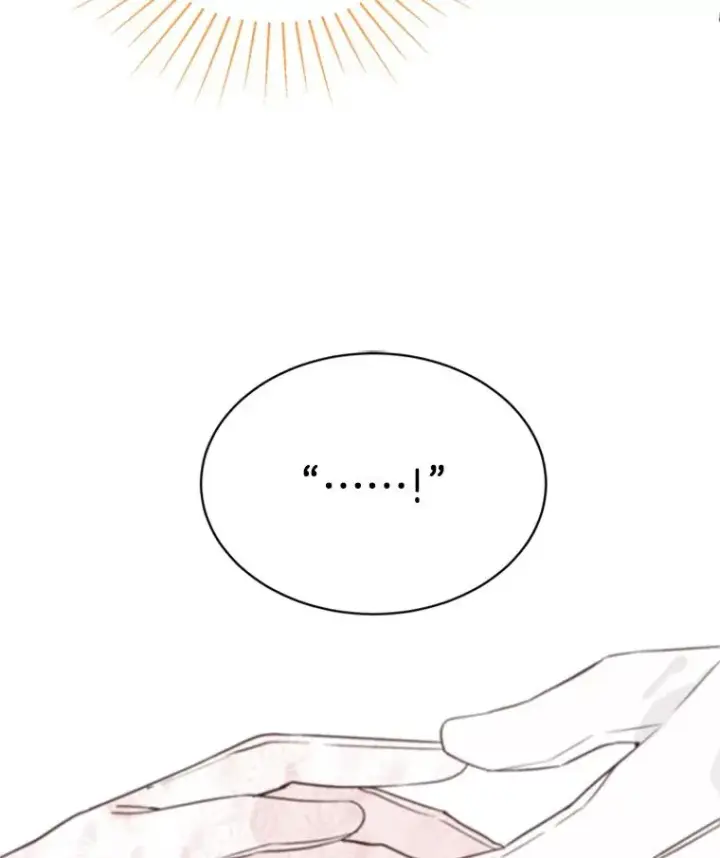《丈夫候选人》22.修改条约图81