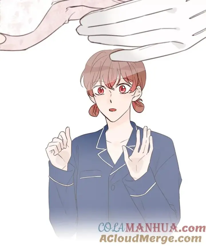 《丈夫候选人》22.修改条约图82