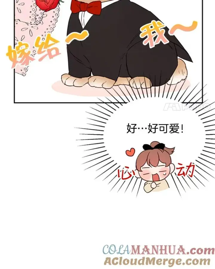 《丈夫候选人》23.寻求帮助图73