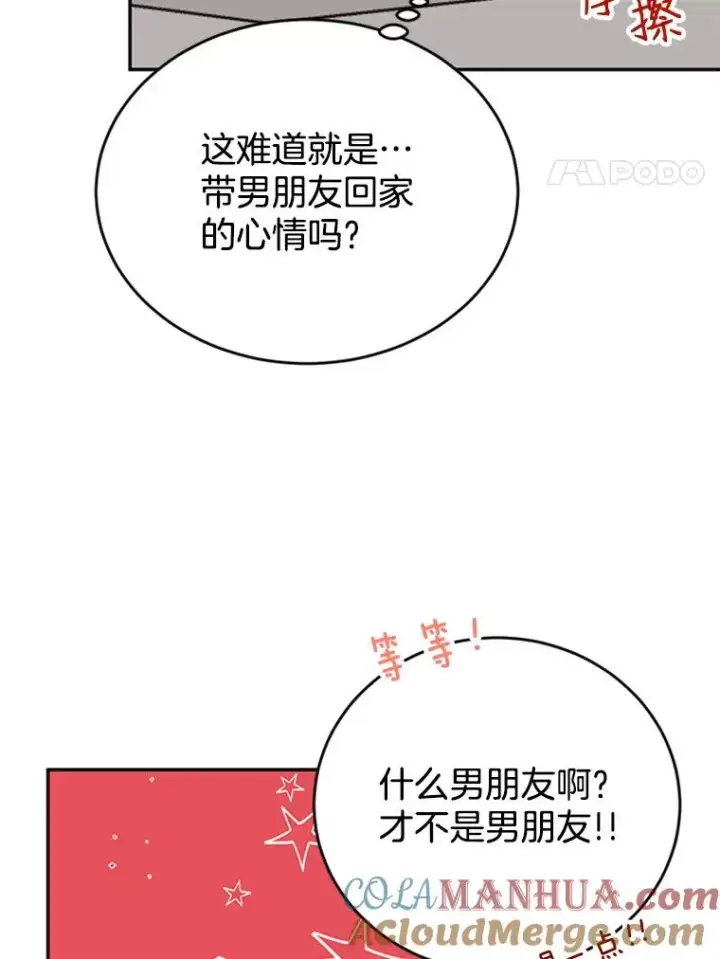 《丈夫候选人》29.带着“男朋友们”回家图4