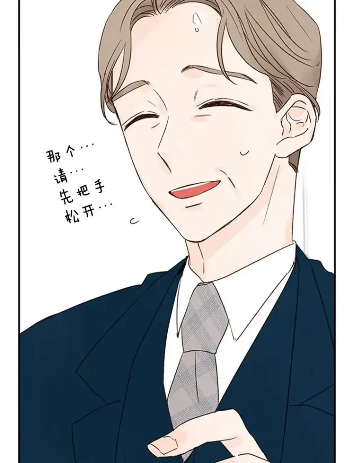 《丈夫候选人》3.半路杀出个董事长图2