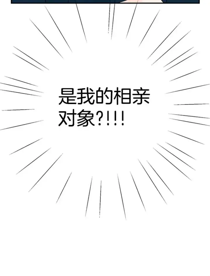 《丈夫候选人》3.半路杀出个董事长图3