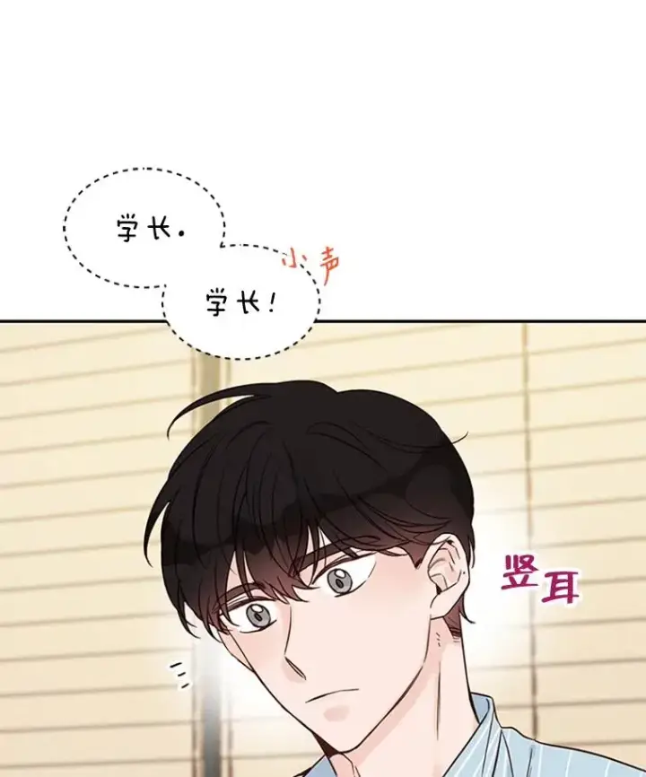 《丈夫候选人》35.咖啡厅里的小秘密图80